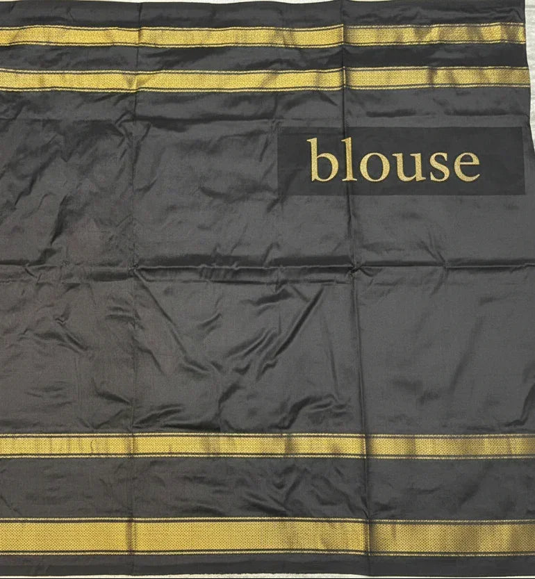 Exquisite Black Ikkat Patola Silk Saree with Rich Golden Zari Border | Silk Mark Certified - pochampallysarees.com
