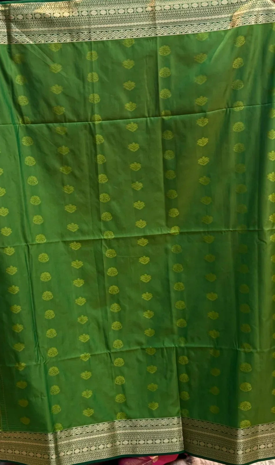 Vibrant Pink Dharmavaram Pattu Silk Saree with Contrast Green Gold Zari Border - pochampallysarees.com