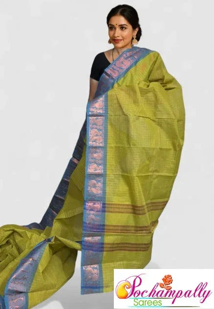 Embrace Simplicity and Grace with Narayanpet Cotton Sarees - pochampallysarees.com
