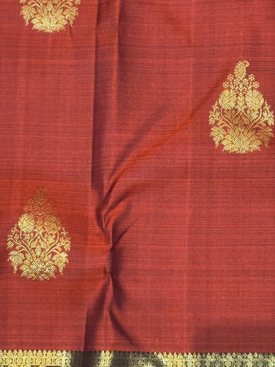 Pure Kanchipuram Silk Saree in Rust Orange with Contrast Brown Zari Border | Silk Mark Certified - pochampallysarees.com