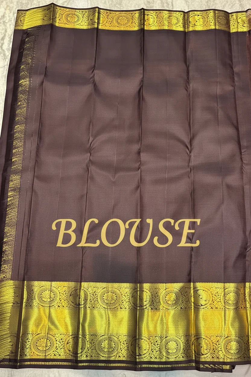 Pure Kanchipuram Silk Saree in Rust Orange with Contrast Brown Zari Border | Silk Mark Certified - pochampallysarees.com