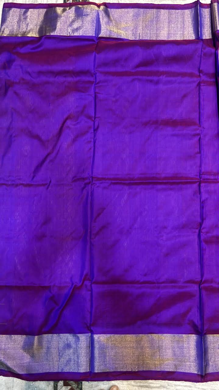 Pochampally Ikat Silk Saree in Light Blue and Purple