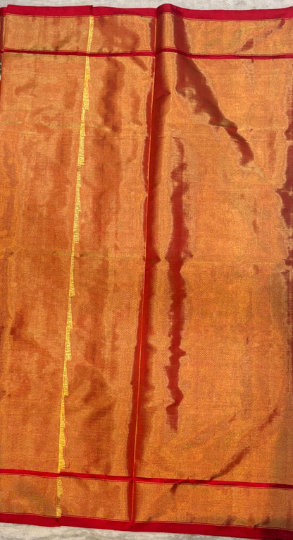 Pure Ikkat Tissue Bridal Silk Saree with Handloom Silk Mark Certification