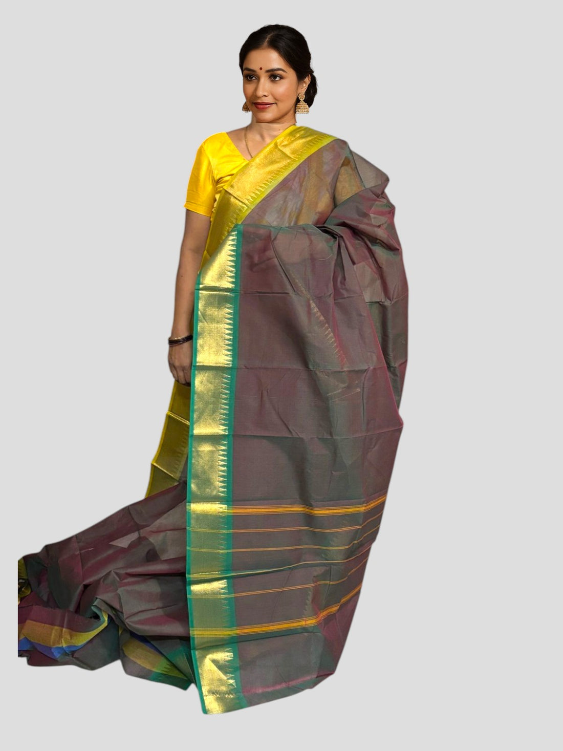 NARAYANPET COTTON Brown Sari