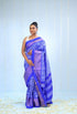 Pure Pochampally Ikkat Silk Blue Sari - pochampallysarees.com
