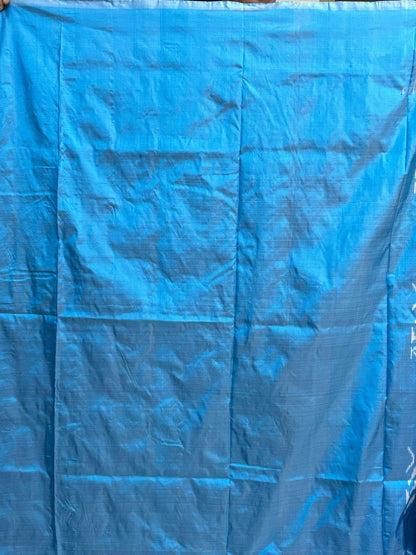 Pure Pochampally Ikkat Silk Light Blue Sari - pochampallysarees.com