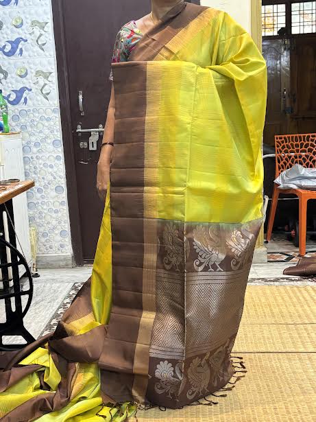 Chartreuse Yellow Kanchipuram Silk Saree with Chocolate Brown Zari Border and Pallu